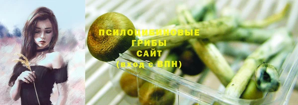 стаф Балабаново