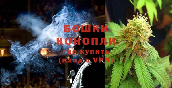ПСИЛОЦИБИНОВЫЕ ГРИБЫ Баксан