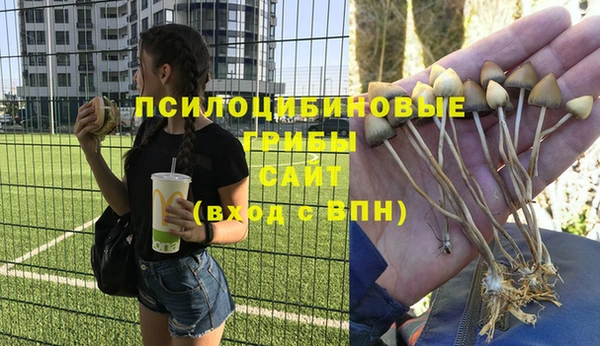 ПСИЛОЦИБИНОВЫЕ ГРИБЫ Баксан