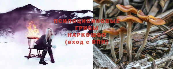 дживик Балахна