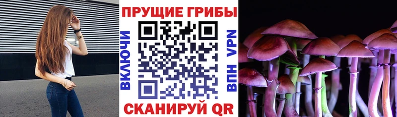 Галлюциногенные грибы MAGIC MUSHROOMS  Магас 