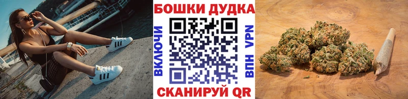 магазин продажи Магас Шишки марихуана ГИДРОПОН